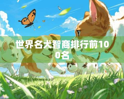 世界名犬智商排行前100名