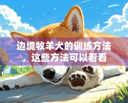 边境牧羊犬的训练方法，这些方法可以看看