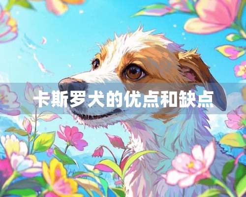 卡斯罗犬的优点和缺点