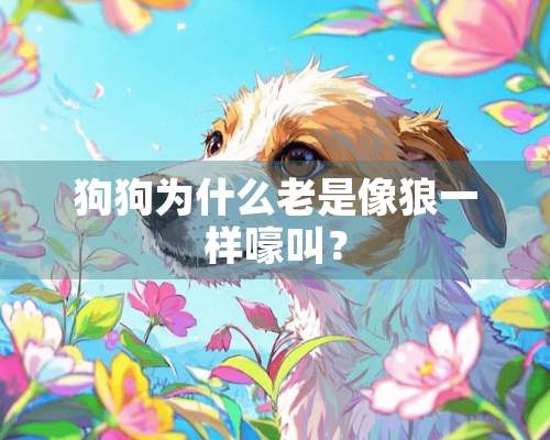 狗狗为什么老是像狼一样嚎叫？