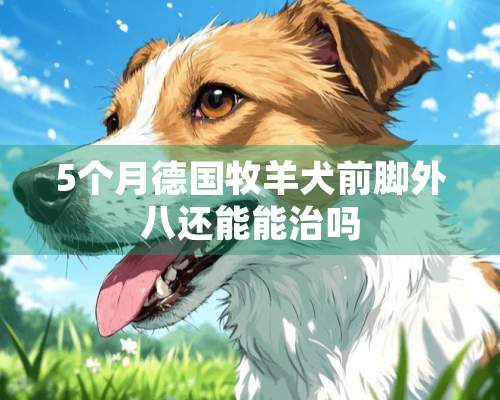 5个月德国牧羊犬前脚外八还能能治吗