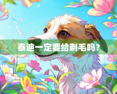 泰迪一定要给剃毛吗？