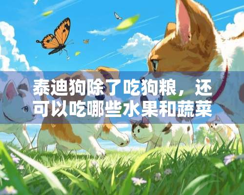 泰迪狗除了吃狗粮，还可以吃哪些水果和蔬菜呢？