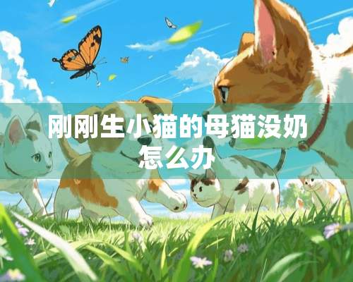 刚刚生小猫的母猫没奶怎么办