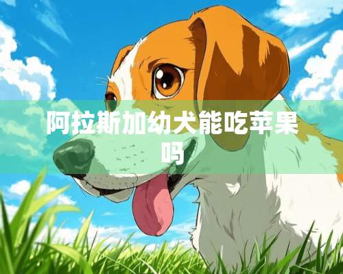 阿拉斯加幼犬能吃苹果吗