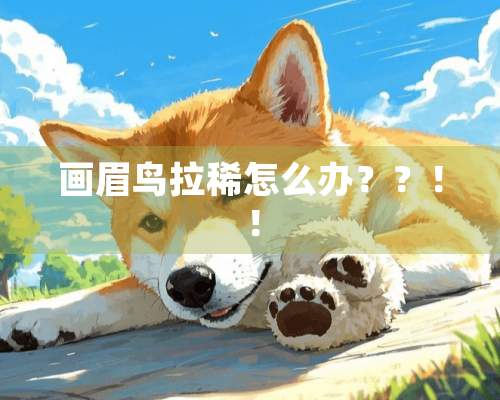 画眉鸟拉稀怎么办？？！！