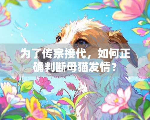 为了传宗接代，如何正确判断母猫**？