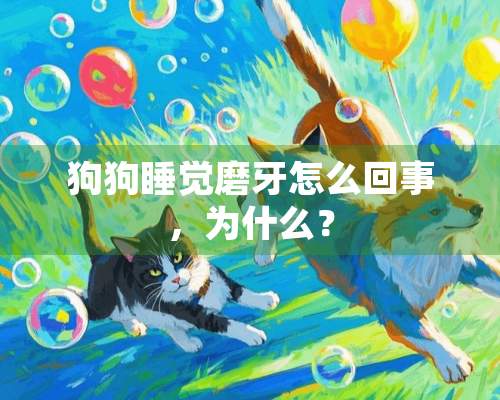 狗狗睡觉磨牙怎么回事，为什么？