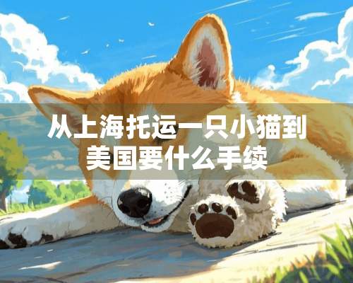 从上海托运一只小猫到美国要什么手续