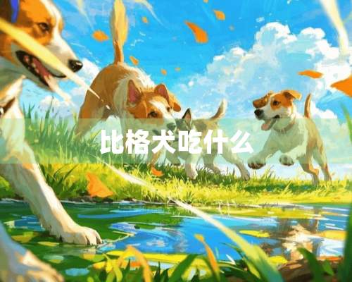 比格犬吃什么