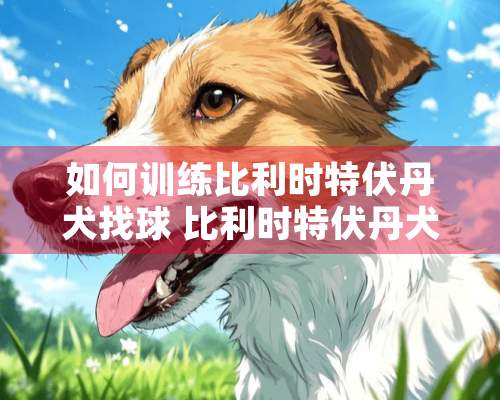 如何训练比利时特伏丹犬找球 比利时特伏丹犬找球训练