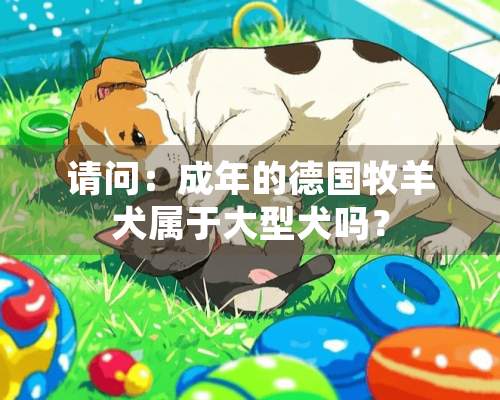 请问：成年的德国牧羊犬属于大型犬吗？