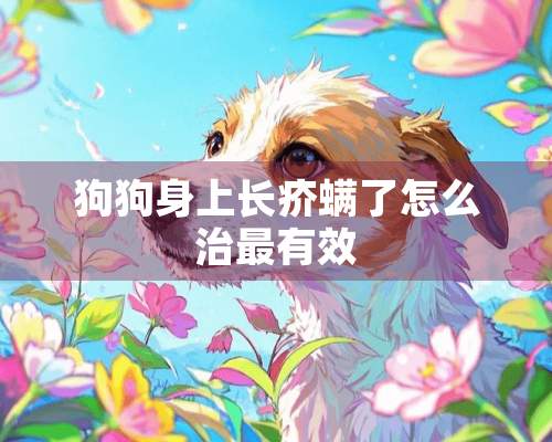 狗狗身上长疥螨了怎么治最有效