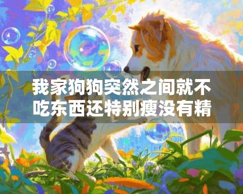 我家狗狗突然之间就不吃东西还特别瘦没有精神是怎么回事阿