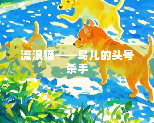 流浪猫——鸟儿的头号杀手