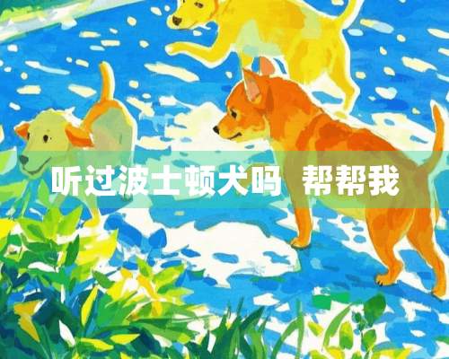 听过波士顿犬吗  帮帮我