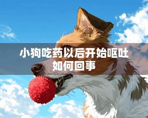 小狗吃药以后开始呕吐如何回事