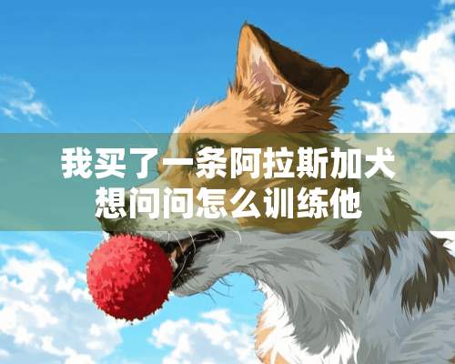 我买了一条阿拉斯加犬想问问怎么训练他