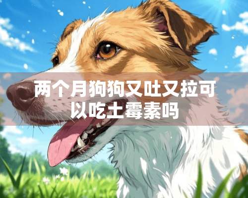 两个月狗狗又吐又拉可以吃土霉素吗