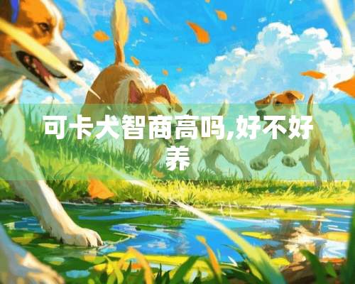 可卡犬智商高吗,好不好养