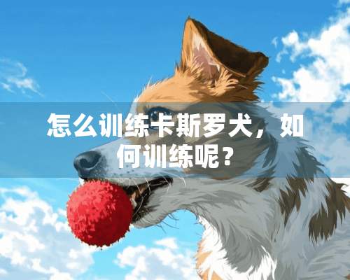 怎么训练卡斯罗犬，如何训练呢？