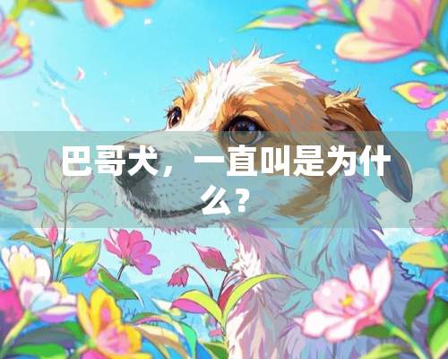 巴哥犬，一直叫是为什么？