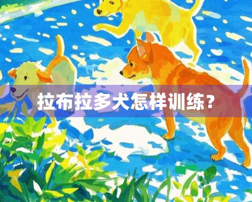 拉布拉多犬怎样训练？