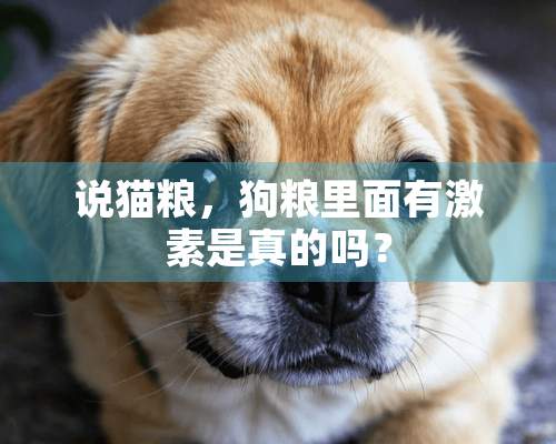 说猫粮，狗粮里面有激素是真的吗？