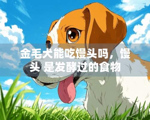 金毛犬能吃馒头吗，馒头 是发酵过的食物