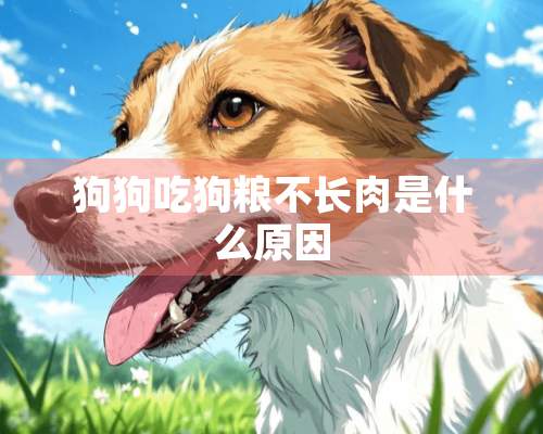 狗狗吃狗粮不长肉是什么原因