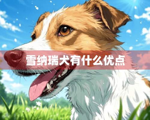 雪纳瑞犬有什么优点