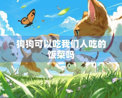 狗狗可以吃我们人吃的饭菜吗