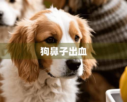 狗鼻子出血