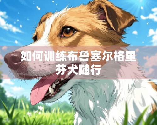 如何训练布鲁塞尔格里芬犬随行