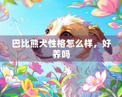 巴比熊犬性格怎么样，好养吗