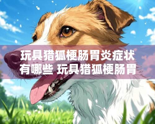 玩具猎狐梗肠胃炎症状有哪些 玩具猎狐梗肠胃炎治疗方法