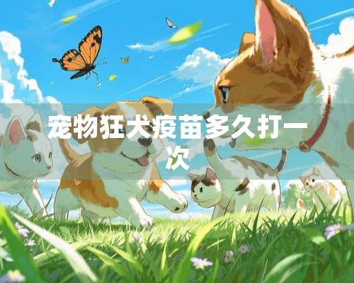 宠物狂犬疫苗多久打一次