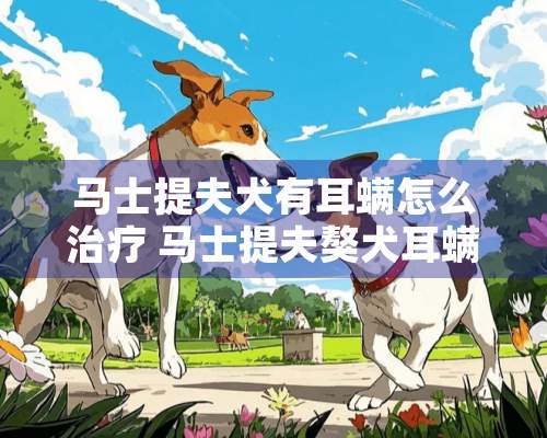 马士提夫犬有耳螨怎么治疗 马士提夫獒犬耳螨治疗方法