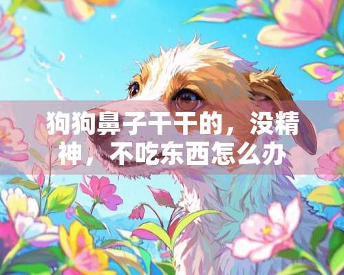 狗狗鼻子干干的，没精神，不吃东西怎么办