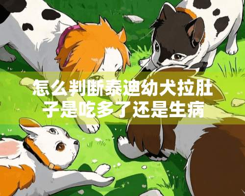 怎么判断泰迪幼犬拉肚子是吃多了还是生病