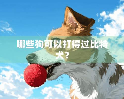 哪些狗可以打得过比特犬？