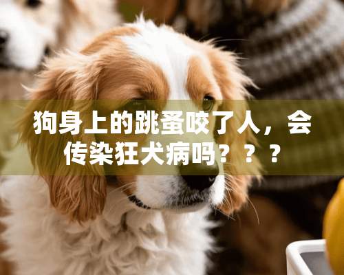 狗身上的跳蚤咬了人，会传染狂犬病吗？？？