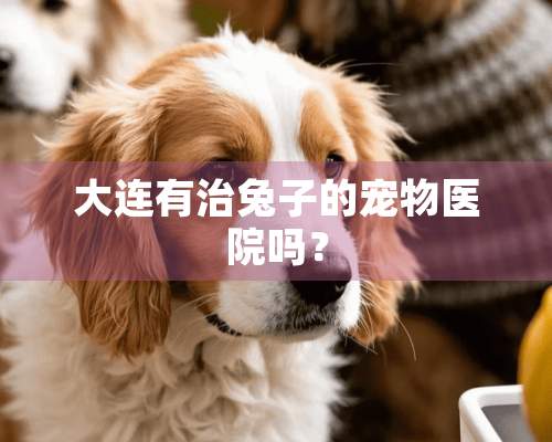 大连有治兔子的宠物医院吗？