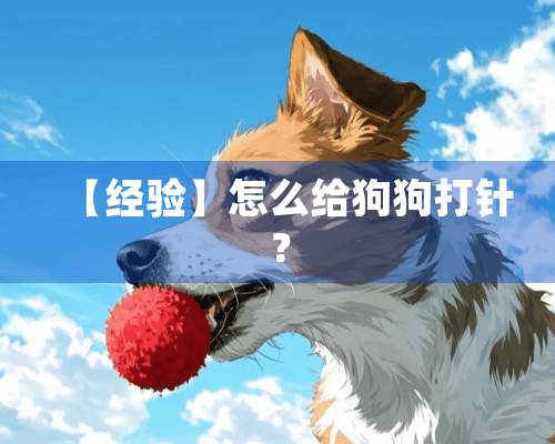 【经验】怎么给狗狗打针？