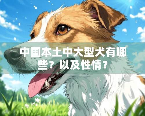 中国本土中大型犬有哪些？以及性情？