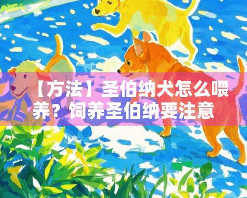 【方法】圣伯纳犬怎么喂养？饲养圣伯纳要注意什么？