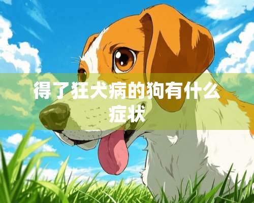 得了狂犬病的狗有什么症状