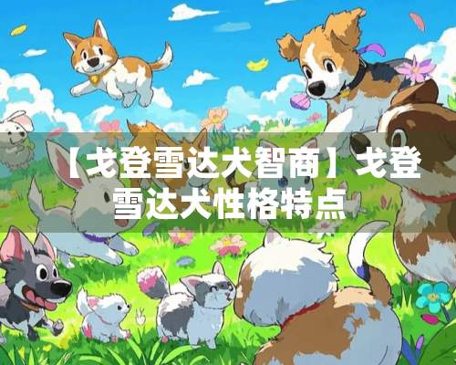 【戈登雪达犬智商】戈登雪达犬性格特点