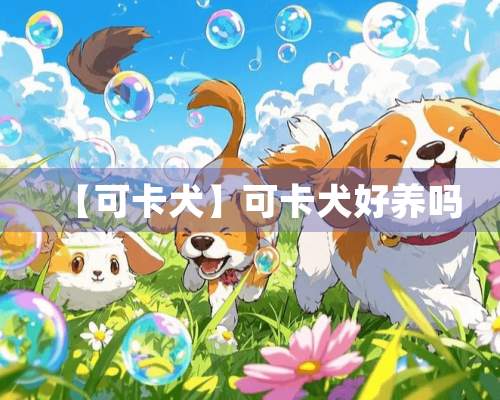 【可卡犬】可卡犬好养吗