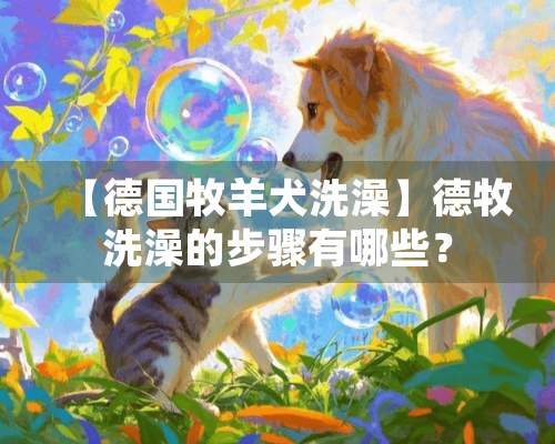 【德国牧羊犬洗澡】德牧洗澡的步骤有哪些？